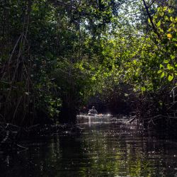   Barra De Potosi