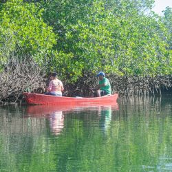   Barra De Potosi
