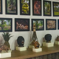 Coconut Museum
