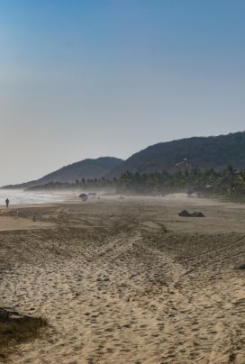 Playa Troncones, La Unión