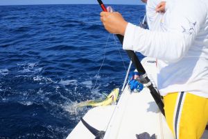 Pesca deportiva en Ixtapa Zihuatanejo Mexico