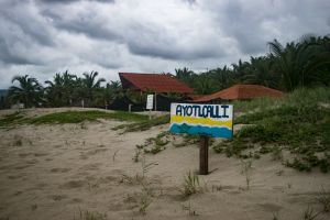 Campamento Tortuguero Ayotlcalli