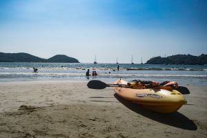 Kayak y Paddle Board