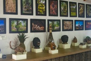 Museo del Coco Zihuatanejo