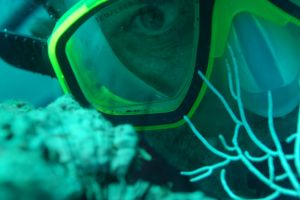 Snorkel en Ixtapa Zihuatanejo