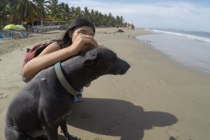 Playas Amigas de las Mascotas en Zihuatanejo