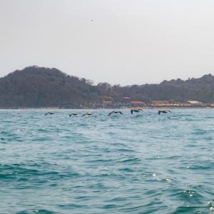   Isla Ixtapa Island