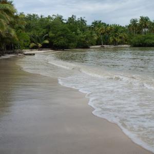   Playa Las Gatas