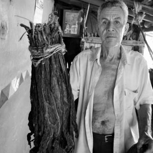   Tabaco Soledad De Maciel