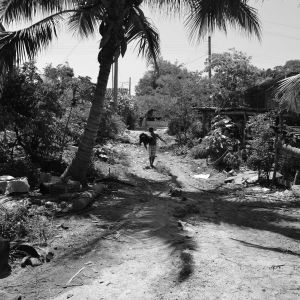   Tabaco Soledad De Maciel