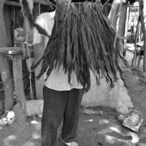   Tabaco Soledad De Maciel