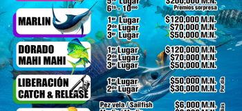 XLI Torneo Internacional de la Pesca del Pez Vela 2026