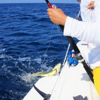 Zihuatanejo Fishing