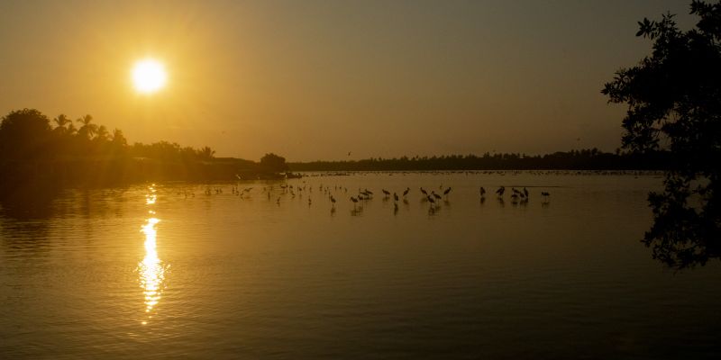 Amanecer En Barra Birds Sunrise 
