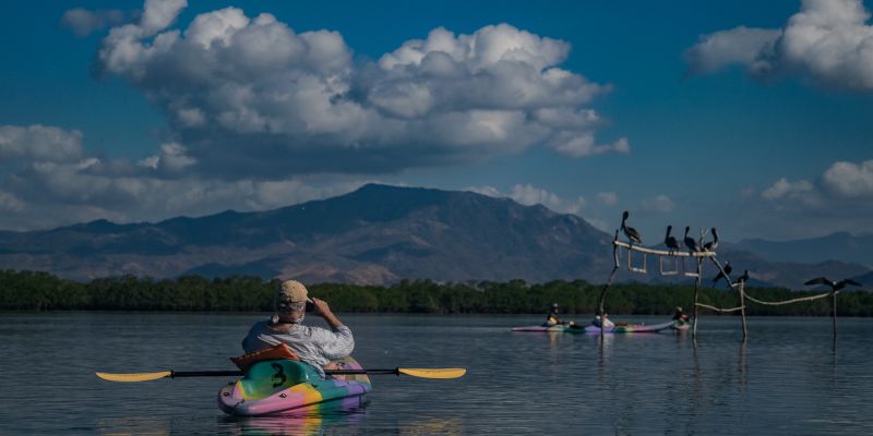 Avistamiento Aves Kayak Birdwatching Lagoon 