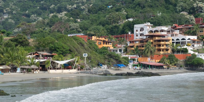 La Madera Desde El Norte 