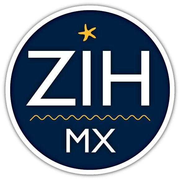 Carnaval Zihuatanejo 2019